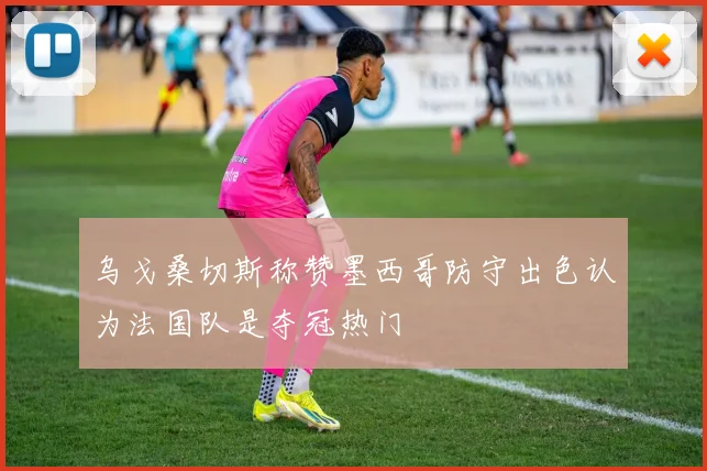 乌戈桑切斯称赞墨西哥防守出色认为法国队是夺冠热门